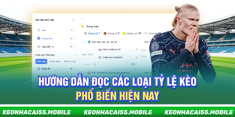 Kèo Nhà Cái bcards ⭐️ Soi Tỷ Lệ Kèo, Keonhacai Trực Tiếp Hôm Nay 2026 23 Hướng dẫn đọc các loại tỷ lệ kèo phổ biến hiện nay