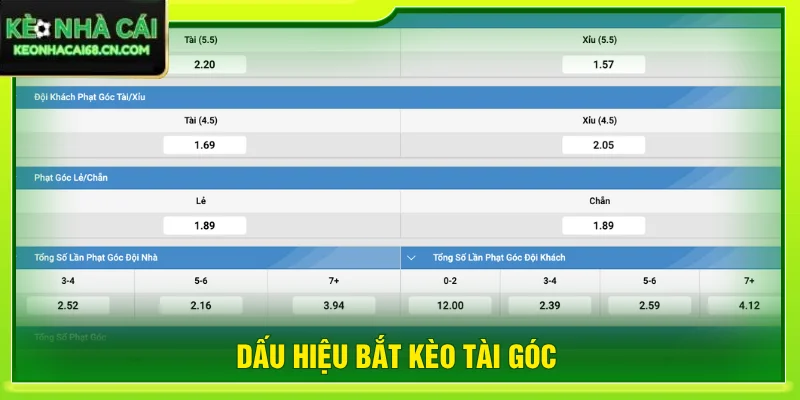 5+ Dấu Hiệu Bắt Kèo Tài Góc Và Đọc Thế Trận Chuẩn Xác 1 Dấu hiệu bắt kèo tài góc