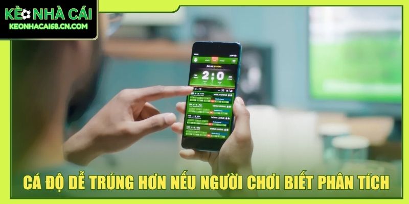 Kinh Nghiệm Chơi Kèo C2: Tổng Hợp Từ Cao Thủ Cá Cược 3 Cá độ dễ trúng hơn nếu người chơi biết phân tích