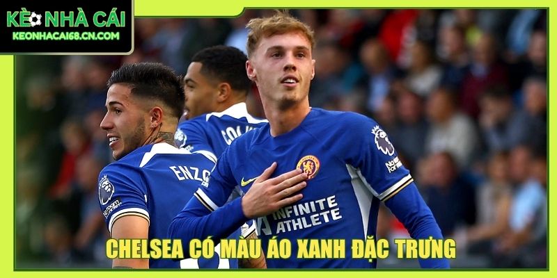 Chelsea - Dấu Ấn Của The Blues Giữa Lòng Thủ Đô London 2 Chelsea có màu áo xanh đặc trưng